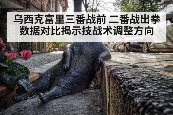 乌西克富里三番战前 二番战出拳数据对比揭示技战术调整方向