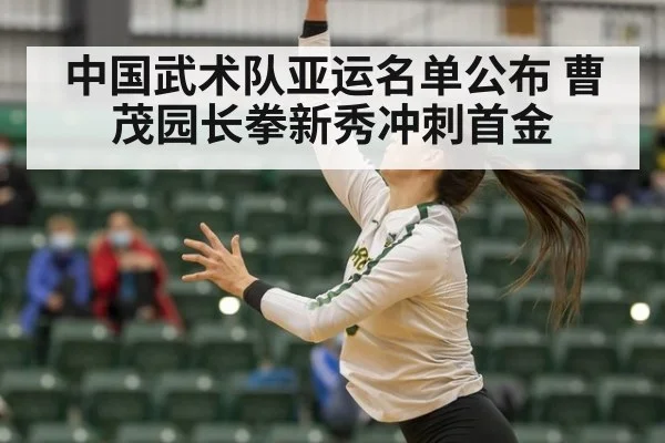 中国武术队亚运名单公布 曹茂园长拳新秀冲刺首金